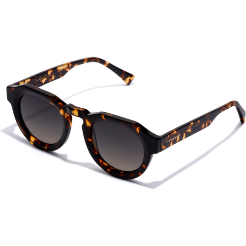 Nos Lunettes de Soleil Warwick Uptown - Hawkers - Modalova