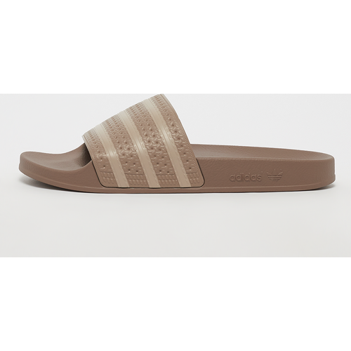 Tongs adilette, , Footwear, chalky brown/trace khaki/chalky brown, taille: 43 - adidas Originals - Modalova