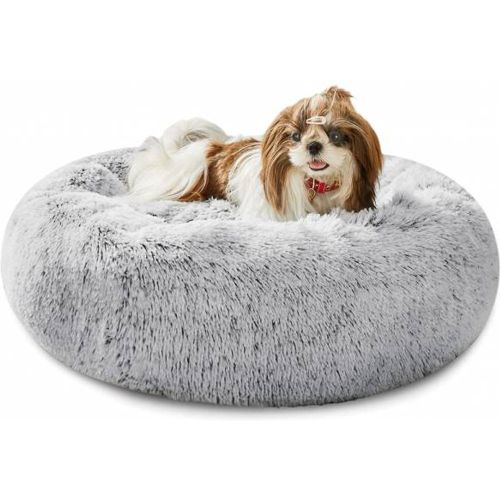 County" Lit pour chien 60 x 60 x 20 cm - SPOCADO - Modalova