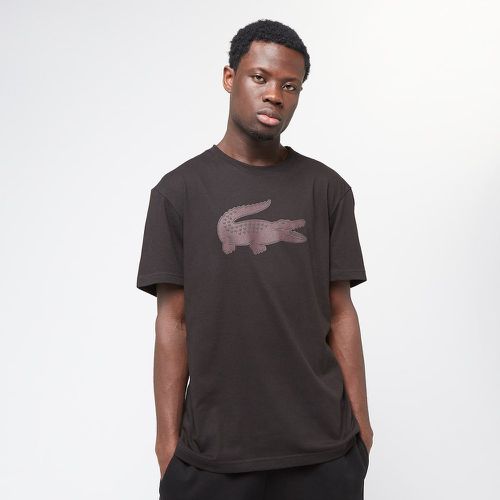 T-SHIRT black/expresso, , T-Shirts & Polos, en , taille: S - Lacoste - Modalova