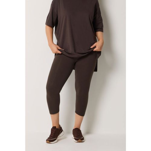 Legging Court À Taille Élastiquée Chocolat Size 48 - Yours - Modalova