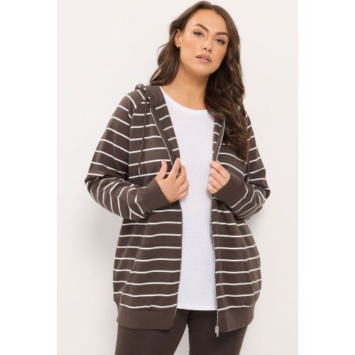 Sweat À Capuche Zippé Marron Chocolat À Rayures Size 42 - Yours - Modalova