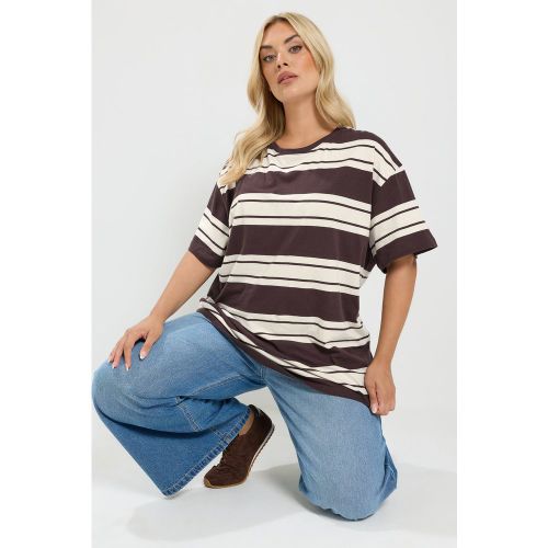 Tshirt Marron Chocolat À Rayures Size 40 - Yours - Modalova
