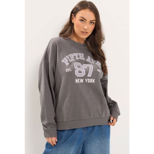 Sweatshirt Gris À Message « Fifth Avenue » Size 54-56 - Yours - Modalova