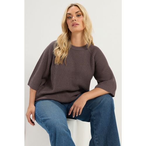 Pull En Maille À Col Rond Marron Chocolat Size 46-48 - Yours - Modalova