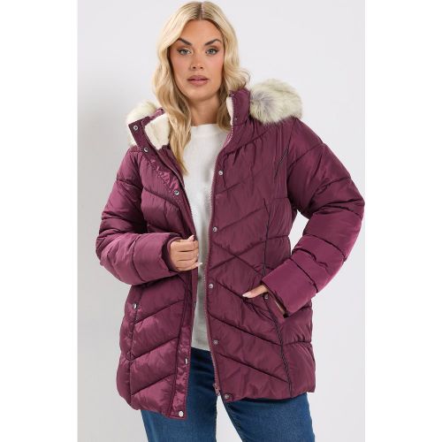 Manteau Court Rembourré Bordeaux Size 58-60 - Yours - Modalova