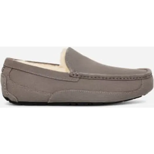 Chausson Ascot in , Taille 45, Cuir - Ugg - Modalova