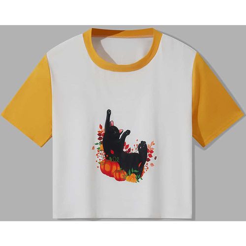 T-shirt à blocs de couleurs à imprimé citrouille et chat - SHEIN - Modalova
