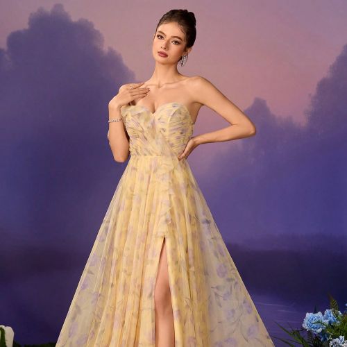 Robe imprimée florale avec bordure volantée et superposition de tulle. Robe de soirée élégante, robe de bal, robe de maxi à manches longues, rob - SHEIN - Modalova