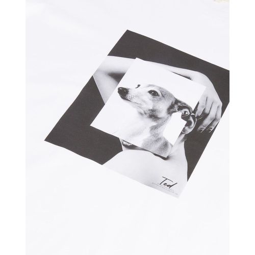 Tee-shirt imprimé lévrier et mannequin - Ted Baker - Modalova