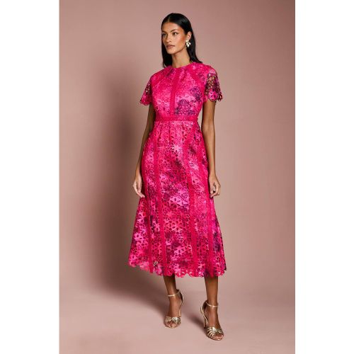 Robe Crayon Mi-Longue en Dentelle Imprimée Petite | Taille 38 - Coast - Modalova