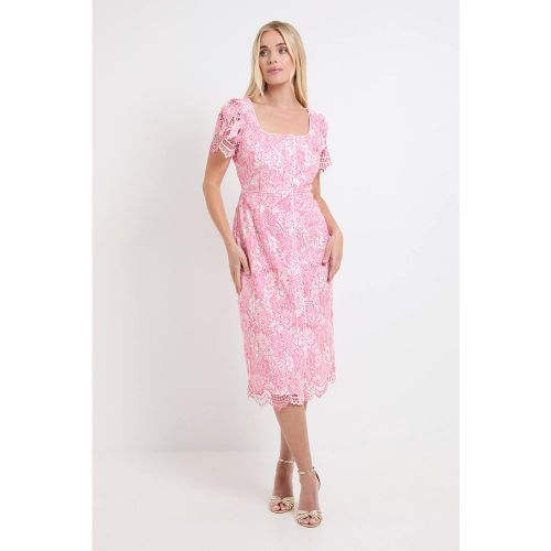 Robe Midi Boutonnée En Dentelle Contrastée Petite | Taille 46 - Wallis - Modalova