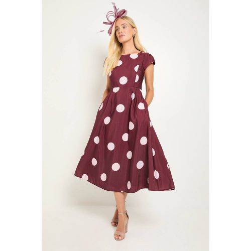 Robe Midi Cintrée Évasée À Pois Ottoman Petite Taille | Taille 48 - Wallis - Modalova