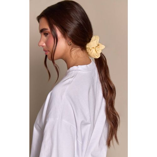 Lemon Lot De 2 Chouchous Citron Et Bleu - PrettyLittleThing - Modalova