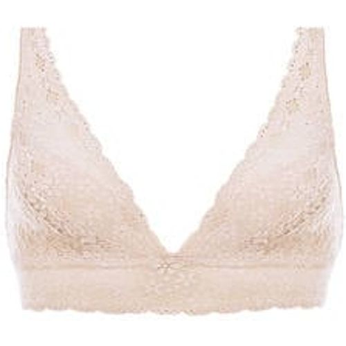 Soutien-gorge triangle en dentelle Halo Lace - Wacoal - Modalova