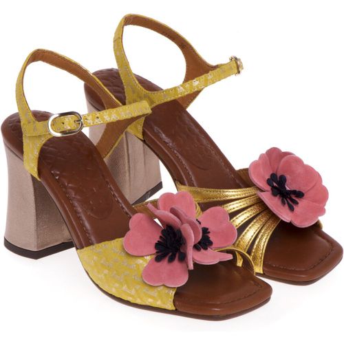 Sandal in suede with flower - Chie Mihara - Modalova