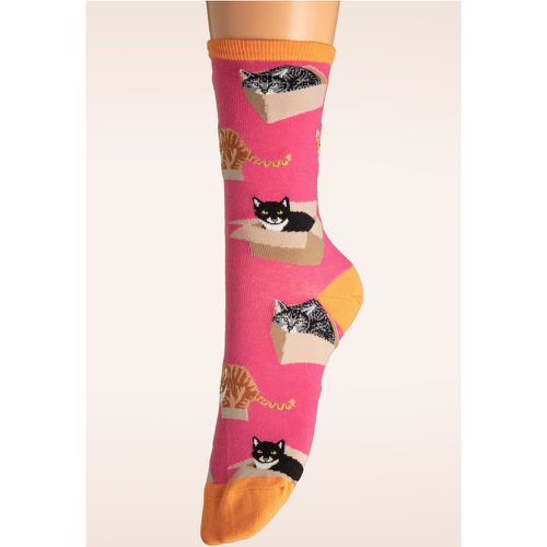 Cat in a Box Socks - Socksmith - Modalova