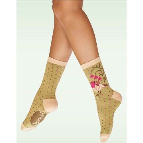 Chaussettes Rosy Robin en sauge - powder - Modalova