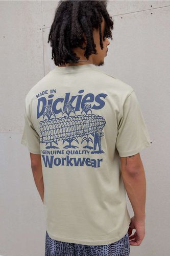 T-shirt graphique UO Exclusive Eucalyptus Plainfield en taille: Small - Dickies - Modalova