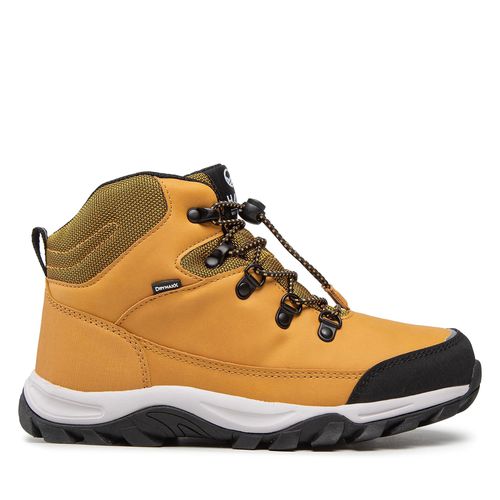 Chaussures de trekking Halti Cody Mid 2 Dx Youth Shoe 054-2842 Marron - Chaussures.fr - Modalova