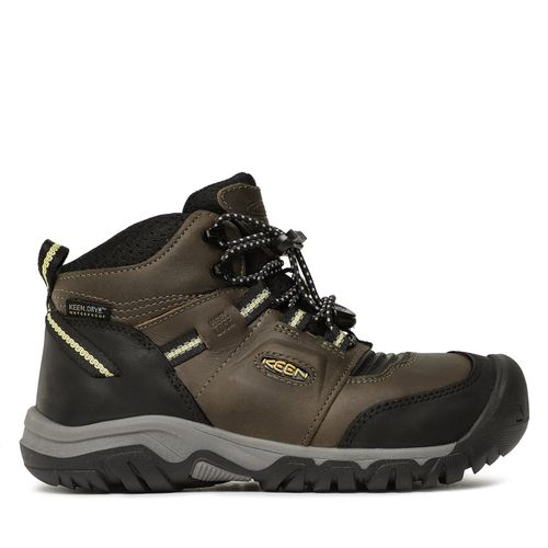 Chaussures de trekking Keen Ridge Flex Mid Wp 1026664 Dark Olve/Dusty Citron - Chaussures.fr - Modalova