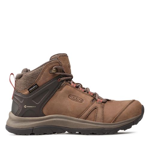 Chaussures de trekking Keen Terradora II Leather Mid Wp 1023728 Brindle/Redwood - Chaussures.fr - Modalova