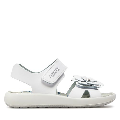 Sandales Primigi 5897222 S Blanc - Chaussures.fr - Modalova