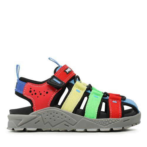 Sandales Primigi 3972622 Multicolore - Chaussures.fr - Modalova