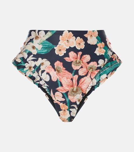 Culotte de bikini Jengibre Danza - Agua by Agua Bendita - Modalova