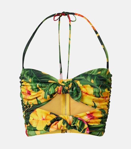 Dolce&Gabbana Top court à fleurs - Dolce&Gabbana - Modalova
