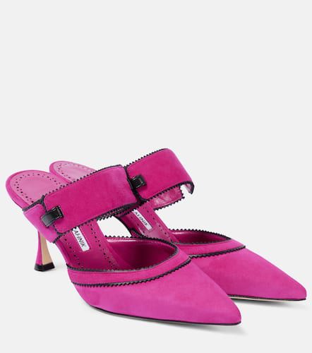 Mules Brontiamusa 70 en daim - Manolo Blahnik - Modalova