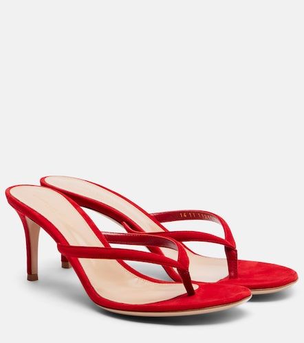 Tongs Calypso en daim - Gianvito Rossi - Modalova