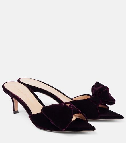 Mules 55 en velours à nœud - Gianvito Rossi - Modalova