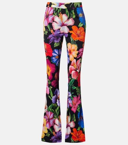 Pantalon évasé à fleurs - Dolce&Gabbana - Modalova