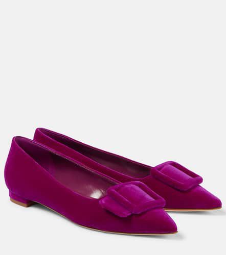 Ballerines Maysale en velours - Manolo Blahnik - Modalova