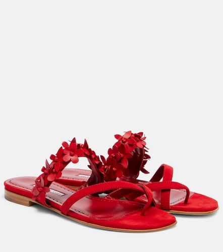 Mules Fiosa en daim à fleurs - Manolo Blahnik - Modalova
