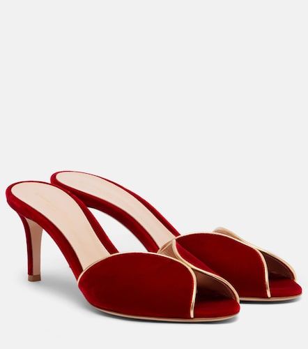 Mules 70 en velours et cuir - Gianvito Rossi - Modalova