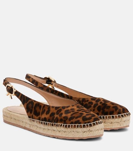 Espadrilles slingback Paz en daim - Gianvito Rossi - Modalova