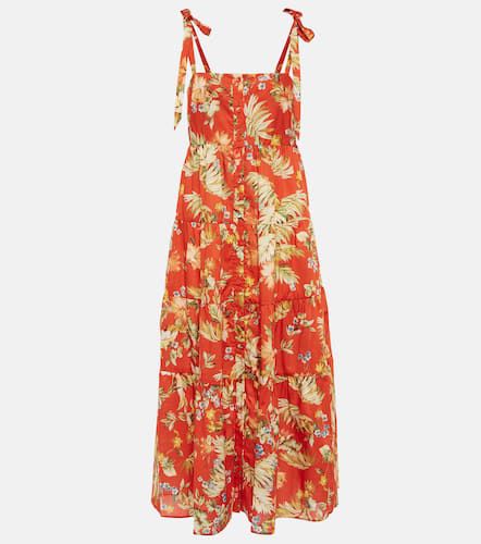 Vacation – Robe midi Georgia en coton à fleurs - Erdem - Modalova