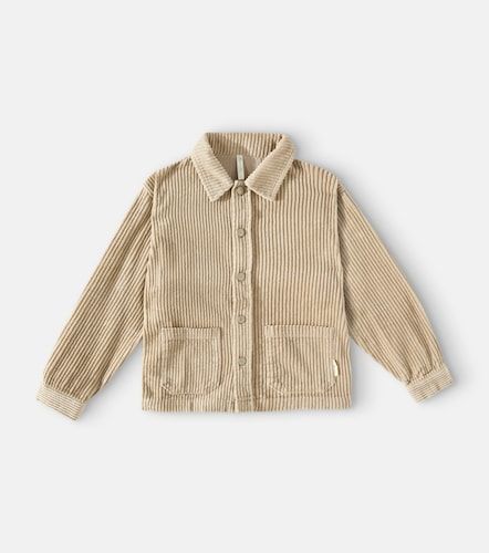 Surchemise Enzo en coton - Rylee + Cru - Modalova