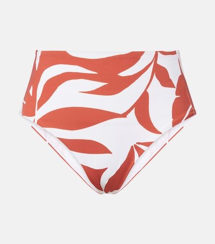 Culotte de bikini Stilla imprimée - Max Mara - Modalova