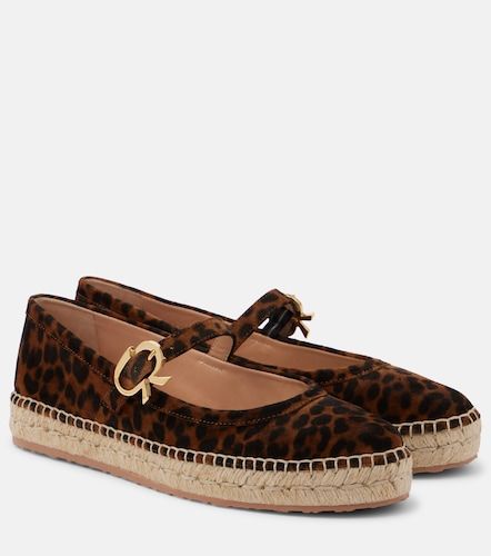 Espadrilles Elda en daim - Gianvito Rossi - Modalova