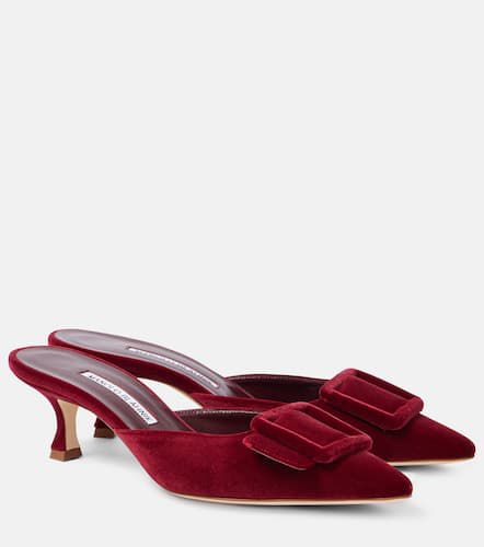 Mules Maysale 50 en velours - Manolo Blahnik - Modalova