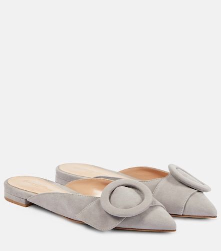 Gianvito Rossi Ballerines en daim - Gianvito Rossi - Modalova