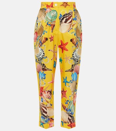 Pantalon tapered Capri en coton - Dolce&Gabbana - Modalova