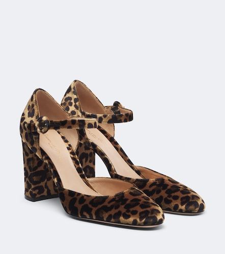 Escarpins en velours à motif léopard - Gianvito Rossi - Modalova