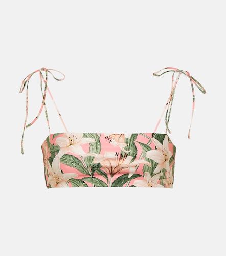 Haut de bikini Primavera à imprimé floral - Agua by Agua Bendita - Modalova