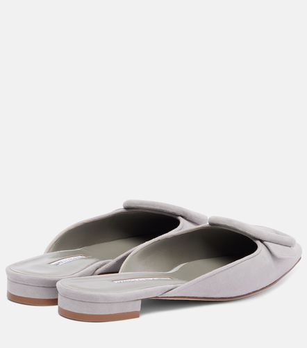 Mules Maysale en daim - Manolo Blahnik - Modalova