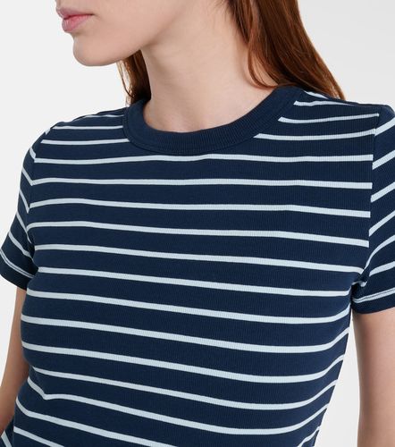 T-shirt Brenda rayé en coton mélangé - Velvet - Modalova