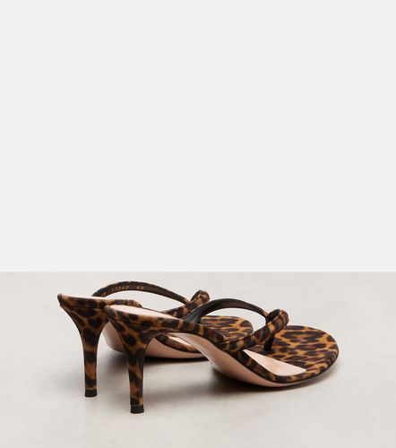 Mules Calypso en daim - Gianvito Rossi - Modalova